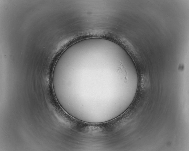 X0000093720636200710231132