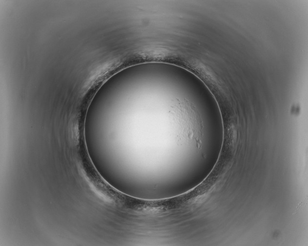 X0000093720638200710231132