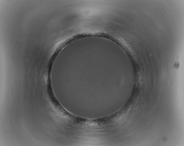 X0000093720640200710231133