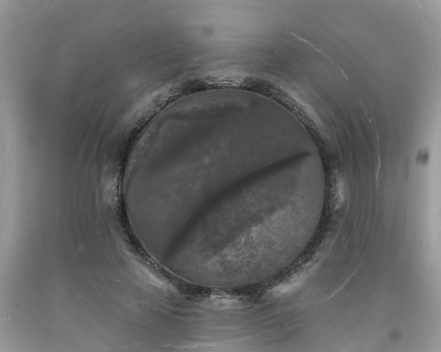 X0000093720641200710231133