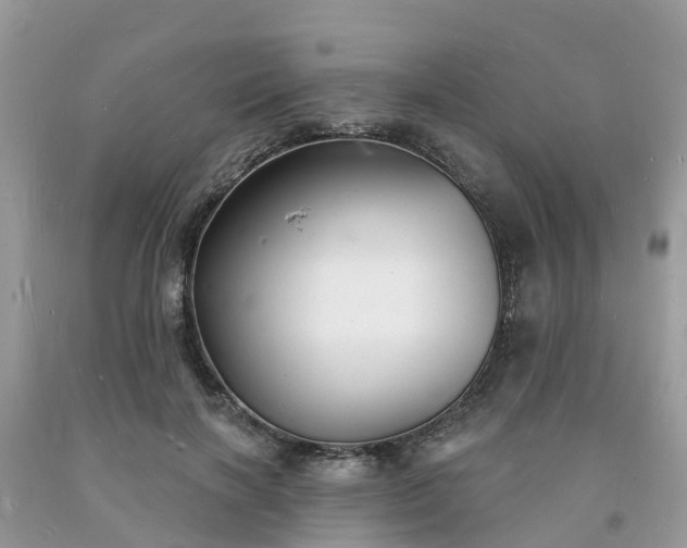 X0000093720646200710231133