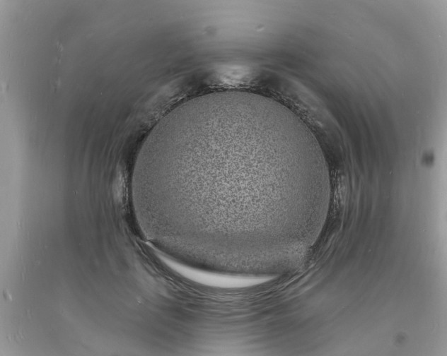 X0000093720651200710231133