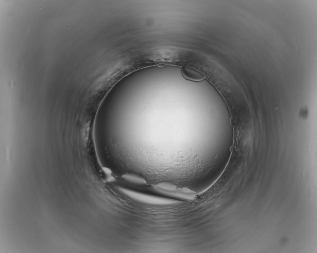 X0000093720652200710231133