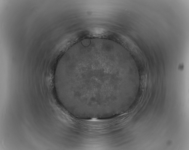 X0000093720653200710231133