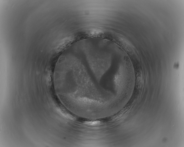 X0000093720654200710231133