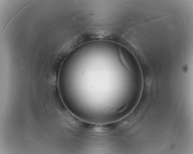 X0000093720657200710231133