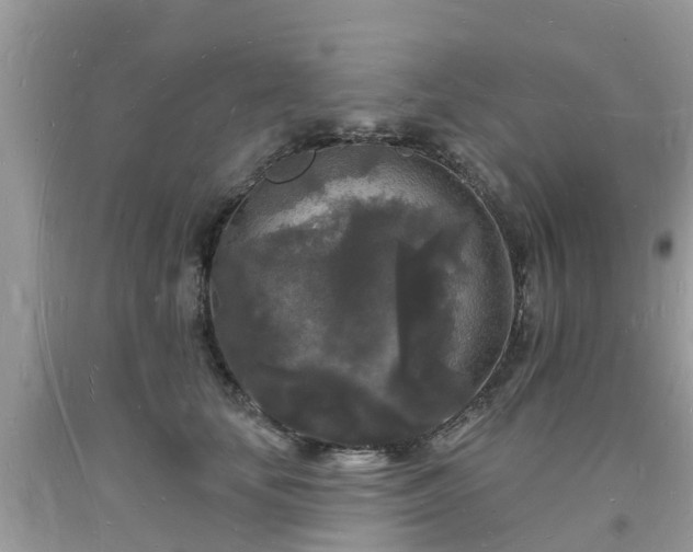 X0000093720659200710231133