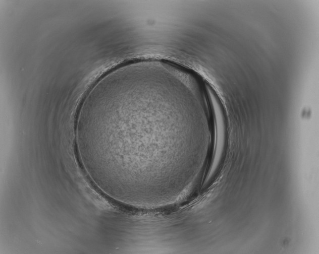 X0000093720673200710231132