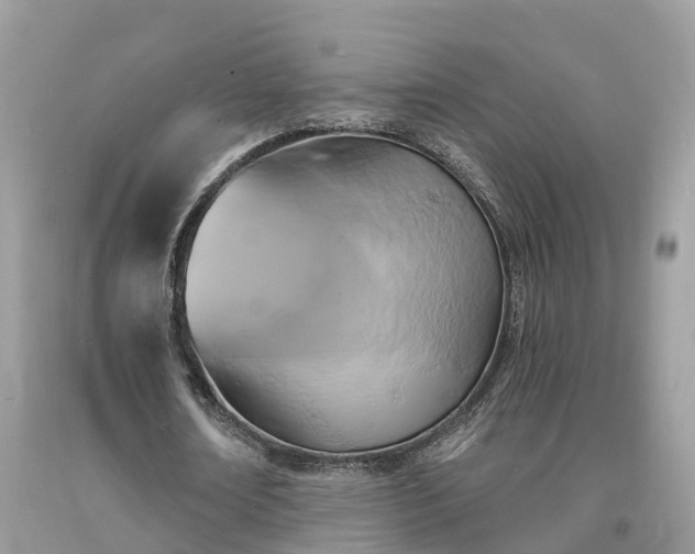 X0000093720674200710231132