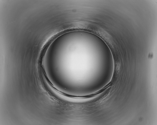 X0000093720676200710231132