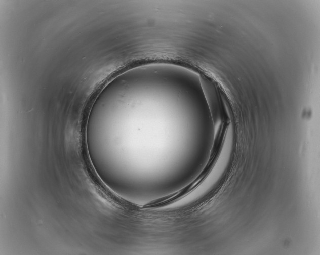 X0000093720677200710231132