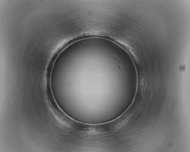 X0000093720678200710231132