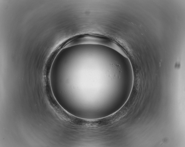 X0000093720680200710231132