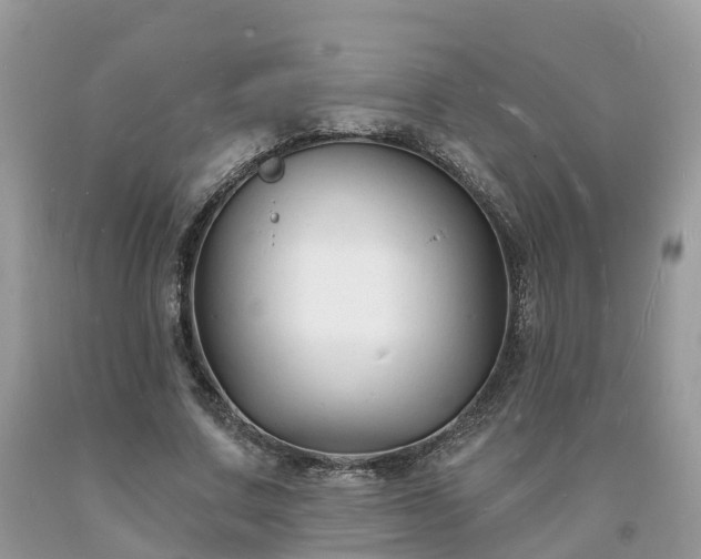 X0000093720683200710231132