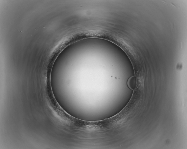 X0000093720686200710231132