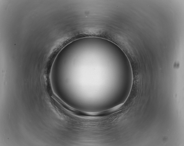 X0000093720688200710231132