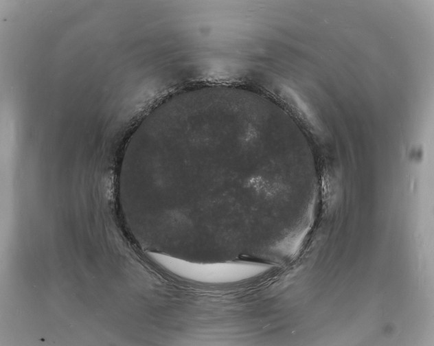 X0000093720689200710231132