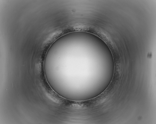 X0000093720690200710231132