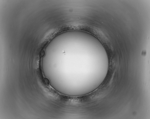 X0000093720694200710231132