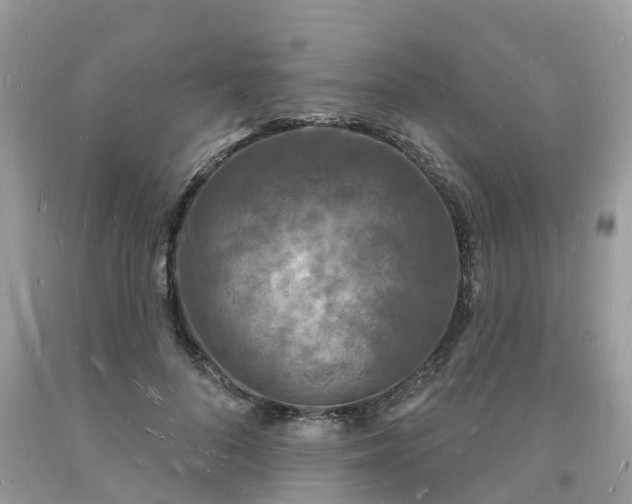 X0000093720696200710231132