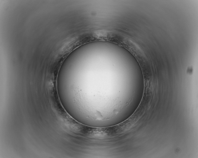 X0000093720702200710231132