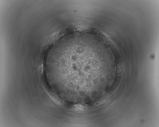 X0000093720703200710231132
