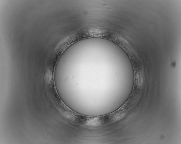 X0000093720705200710231132