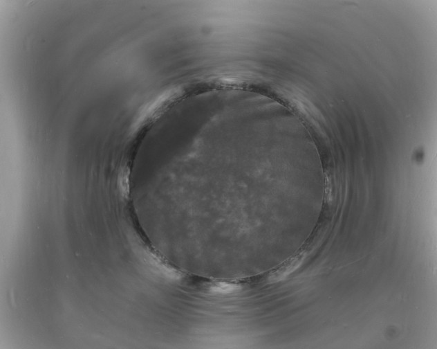 X0000093720718200710231132