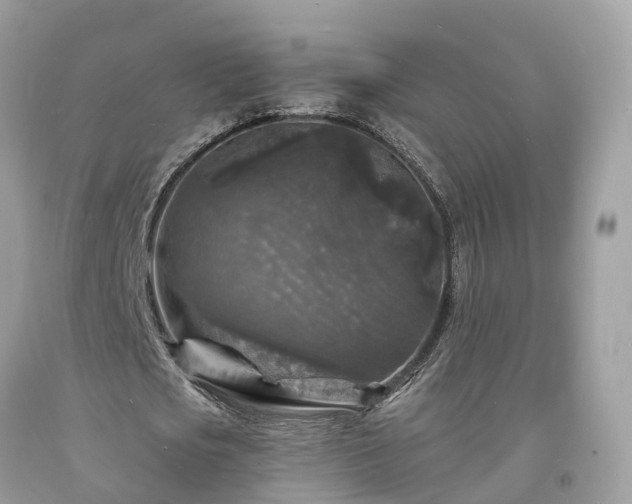 X0000093720721200710231131