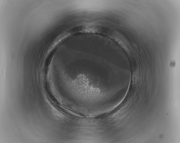 X0000093720722200710231131