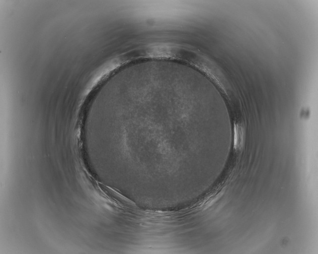 X0000093720723200710231131