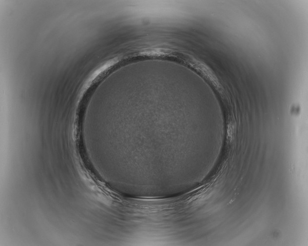 X0000093720724200710231131