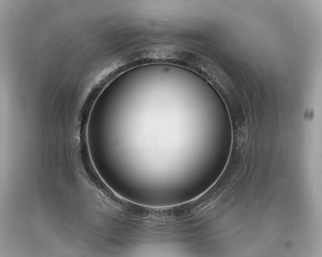X0000093720727200710231131