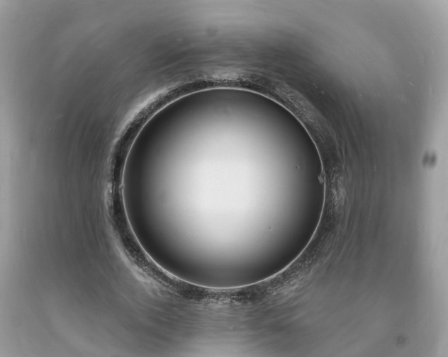 X0000093720728200710231131