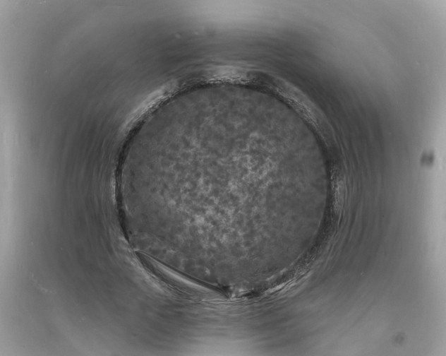 X0000093720729200710231131