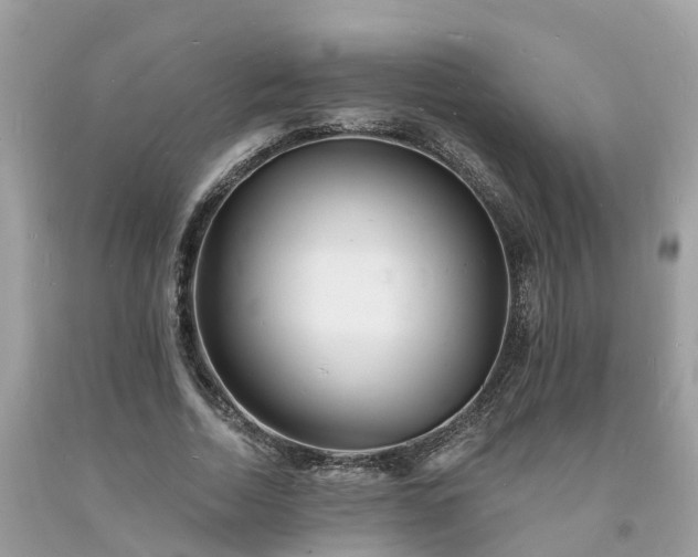 X0000093720730200710231131