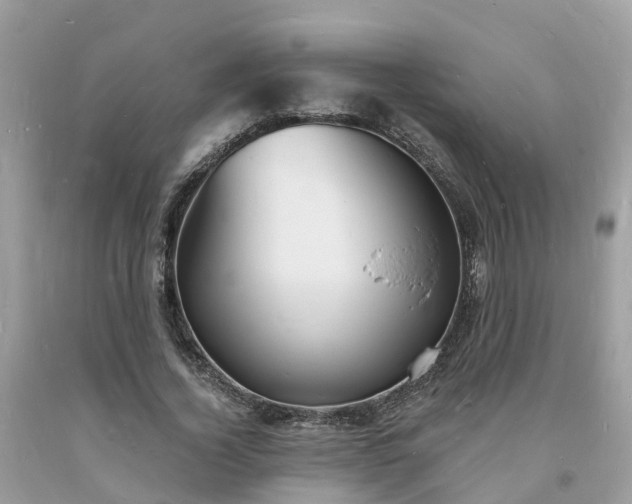 X0000093720732200710231131