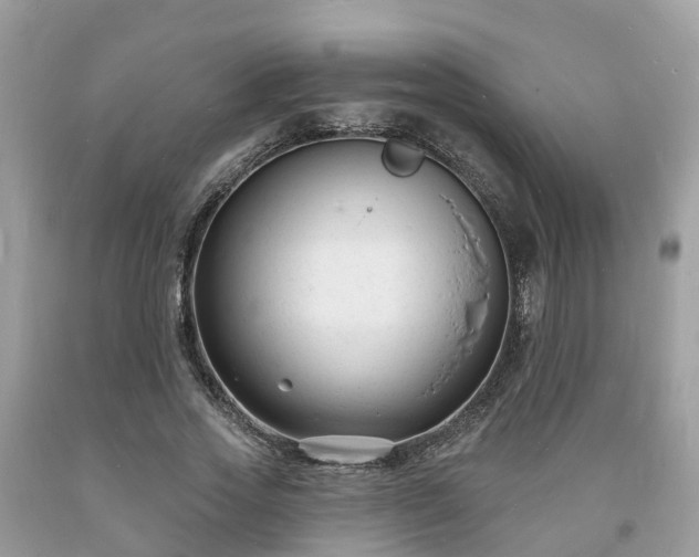 X0000093720733200710231131