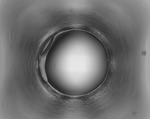 X0000093720734200710231131