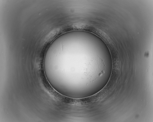 X0000093720738200710231131