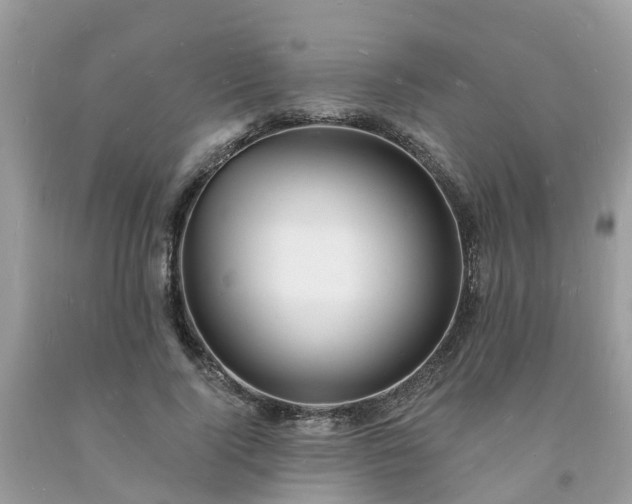 X0000093720740200710231131