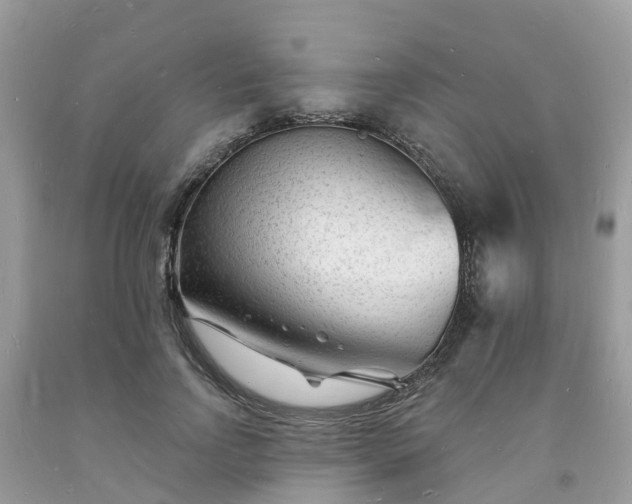 X0000093720742200710231131