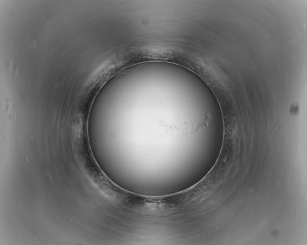 X0000093720744200710231131