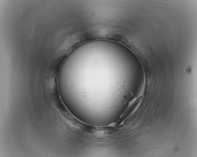 X0000093720746200710231131