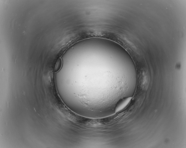 X0000093720747200710231131