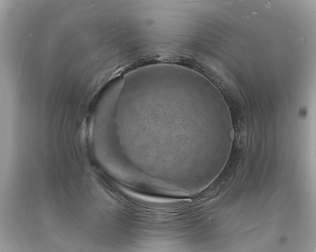 X0000093720748200710231131