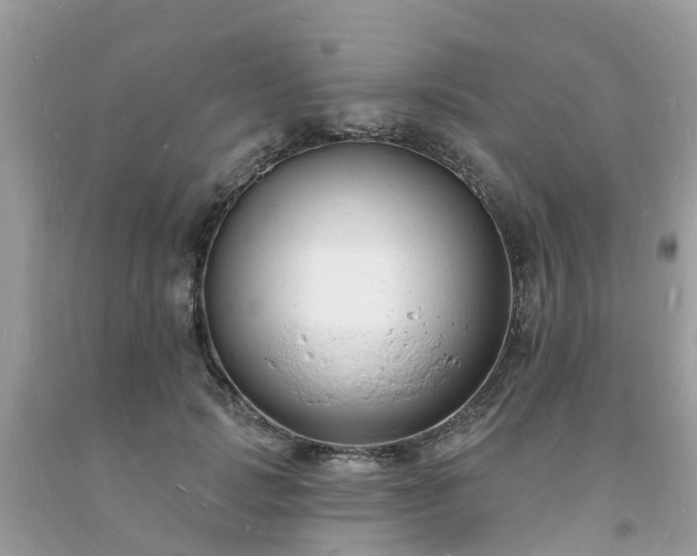 X0000093720749200710231131