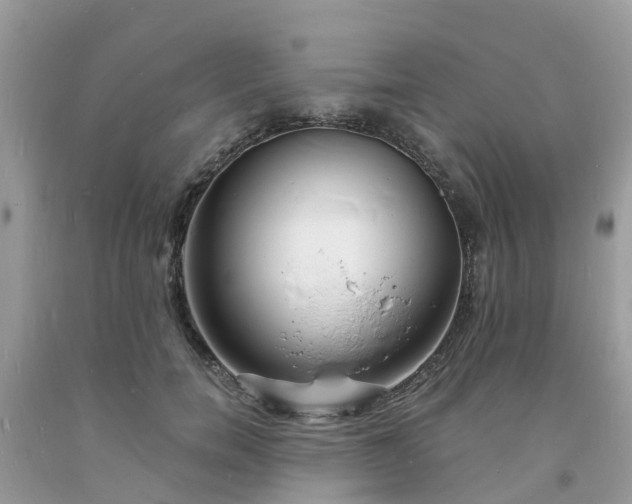 X0000093720750200710231131