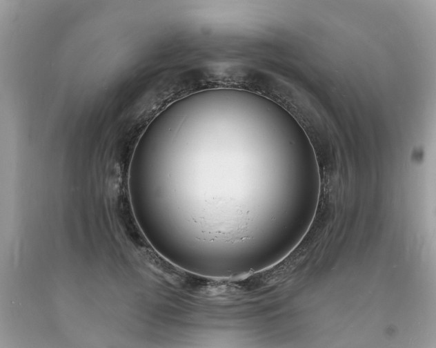 X0000093720752200710231132