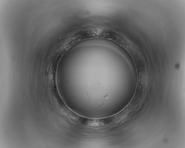 X0000093720754200710231132